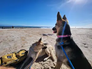 Mickler Beach