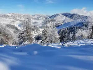 SKI GUGEL Mlynky