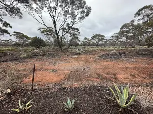 Acclaim Gateway Tourist Park - Norseman