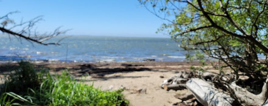 Bush Pioneer Park