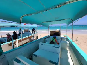 Cabo Pulmo EcoAdventures