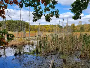 MacCready Nature Reserve