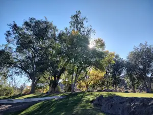 Dierkes Lake Park