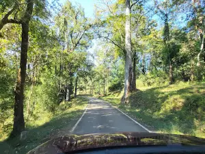 BHADRA TIGER RESERVE , Muthodi safari
