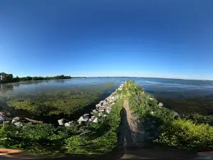 Old Field Beach
