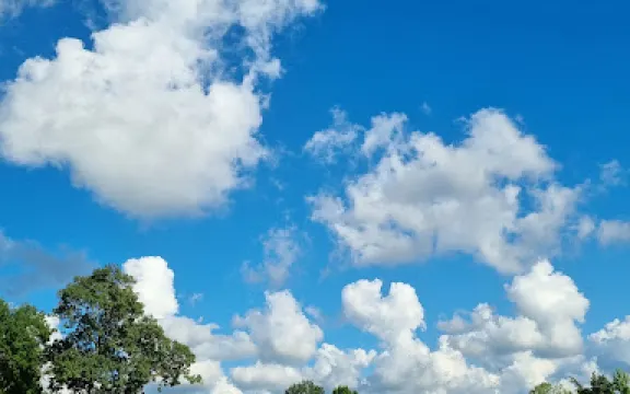 Samsun Hacı Osman Ormanı ( Doğa Koruma Alanı )