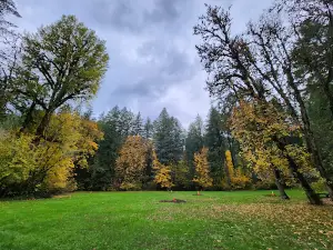 Shotgun Creek Recreation Site