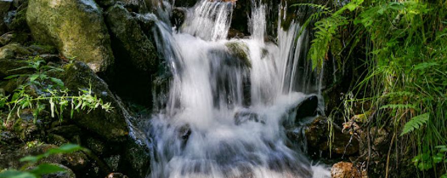 Themenweg Wildwasser