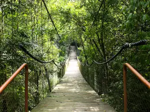 Parque Teixeira Soares