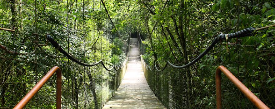 Parque Teixeira Soares