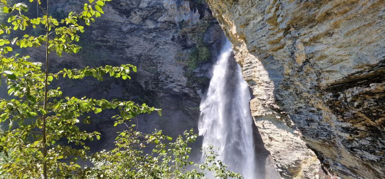 Reichenbach Falls