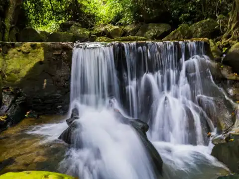 Hotel berhampiran Secret Buddha Garden