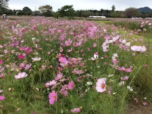 金立公園-金立山いこいの広場