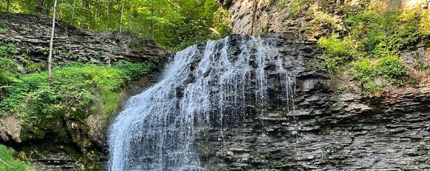 Tiffany Falls Conservation Area