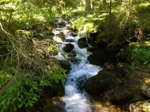 Cascate di Saent