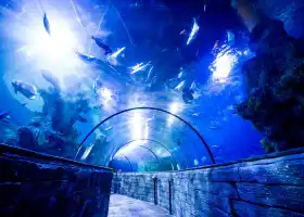 Malta National Aquarium