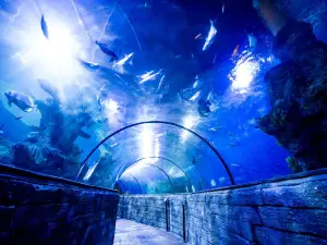 Malta National Aquarium