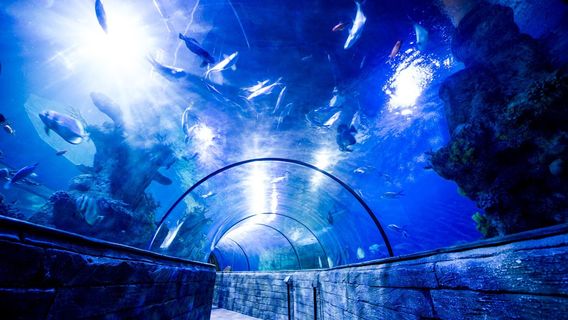 Malta National Aquarium