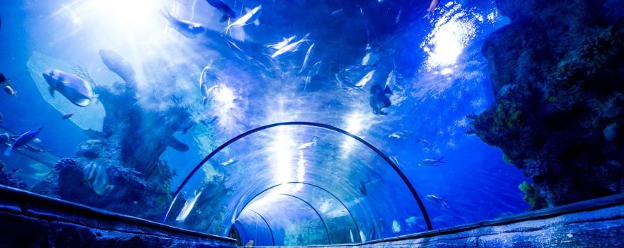 Malta National Aquarium