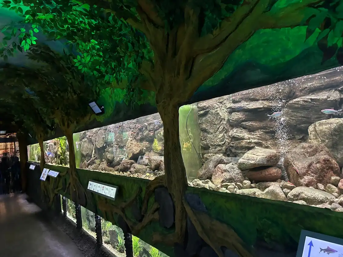 Hoteles cerca de Sea World