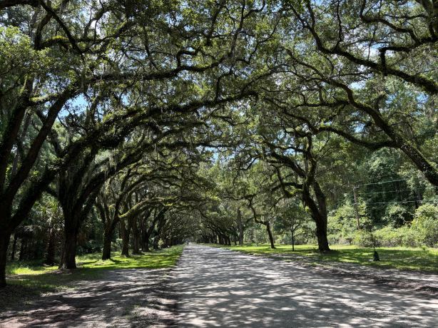 Wormsloe State Historic Site