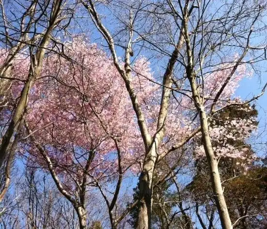 Hotels near Long Hill