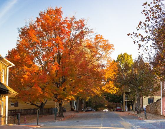 温斯頓塞勒姆 自由行套票
