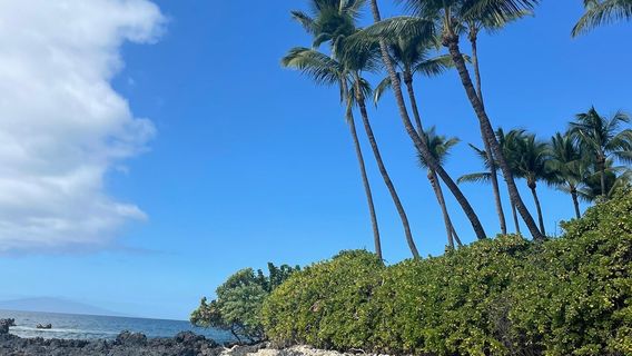 Palauea Beach