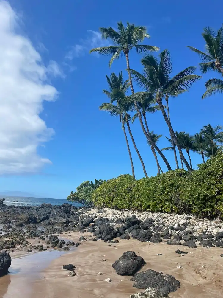 Hotels in der Nähe von Palauea Beach