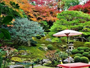 Kyu Chikurinin Garden