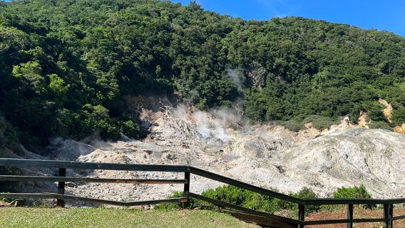 Sulphur Springs