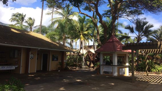 Tropical Gardens of Maui