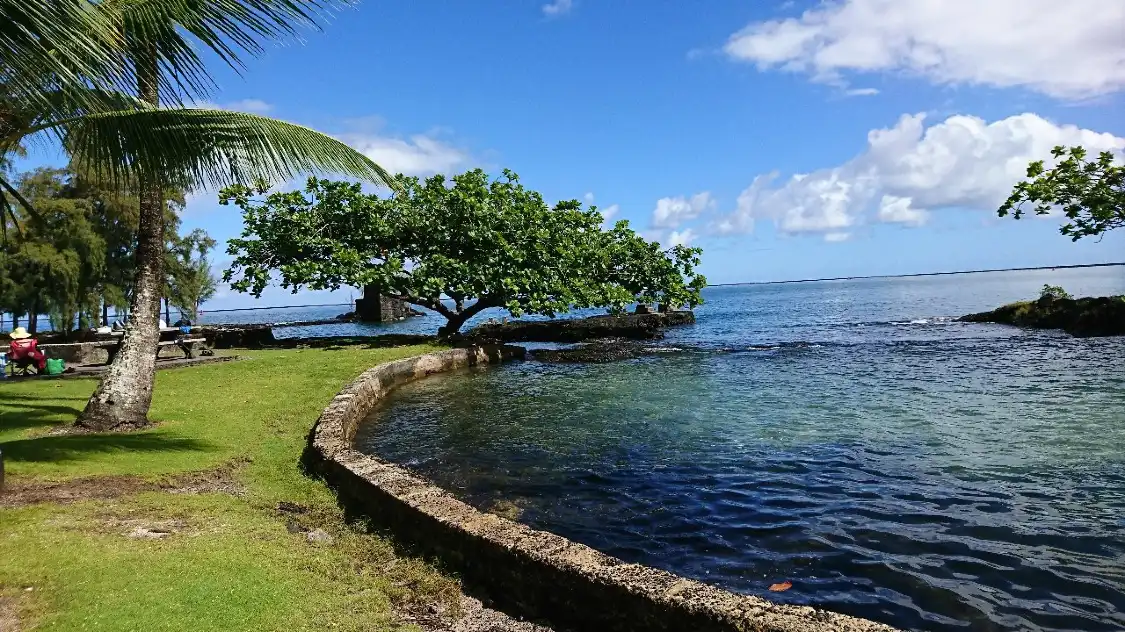 Hotels near Coconut Island