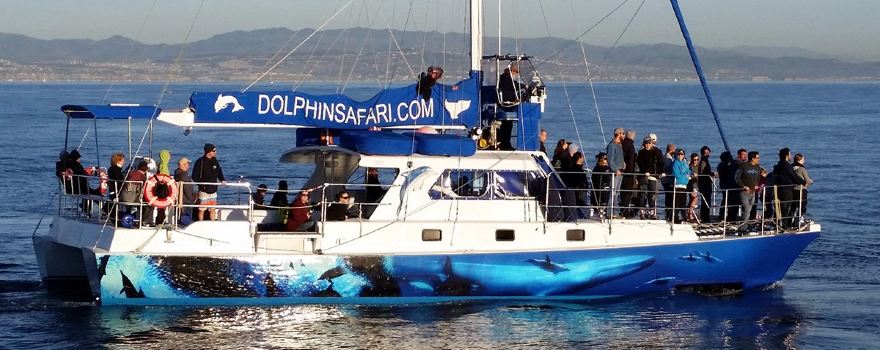 Capt. Dave's Dana Point Dolphin & Whale Watching Safari
