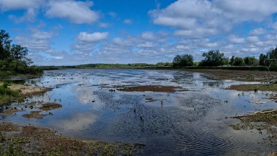 McLaughlin Bay Wildlife Reserve