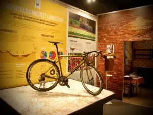 Tour of Flanders