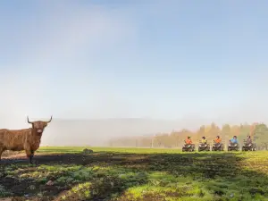 Quad Bike Treks, Rothiemurchus Aviemore