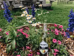 The County Cider Company - Tasting Room