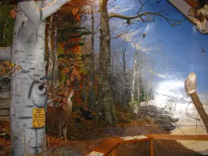 Door County Historical Museum