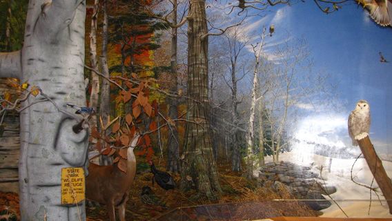 Door County Museum and Archives