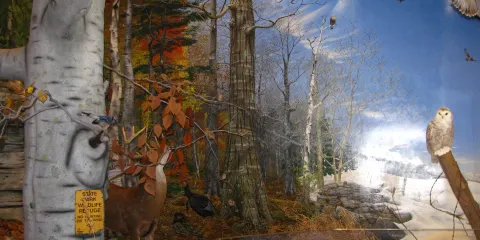 Door County Historical Museum