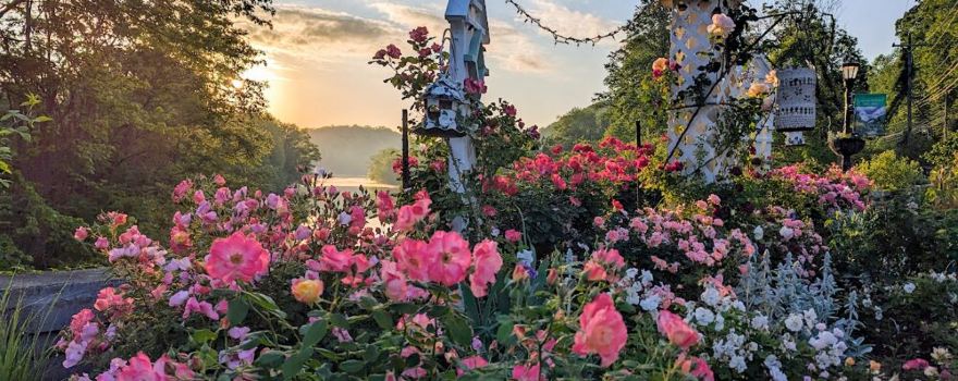 Lake Lure Flowering Bridge