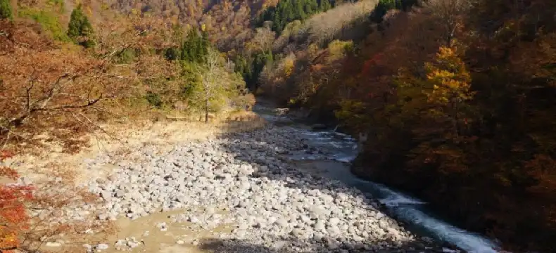 津南町のホテル