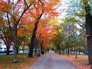 Hotels in der Nähe von Commonwealth Avenue Mall