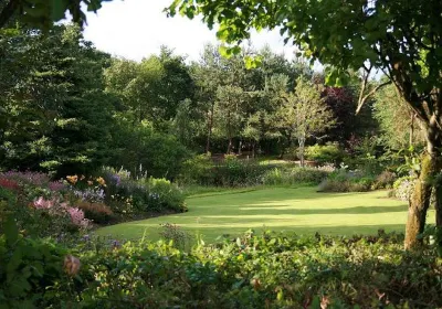 Ballyrobert Cottage Garden and Nursery