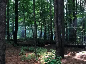 ボウマン・レイク州立公園