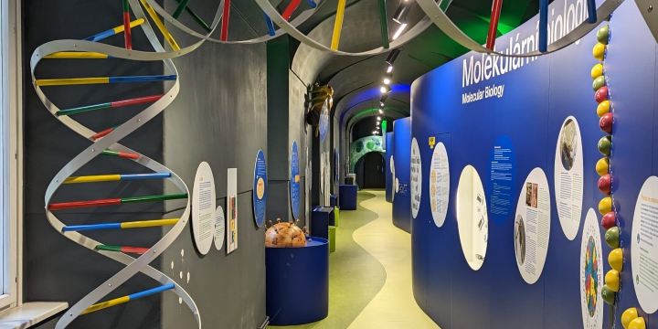 Mendel Museum of Masaryk University