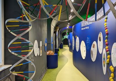 Mendel Museum of Masaryk University