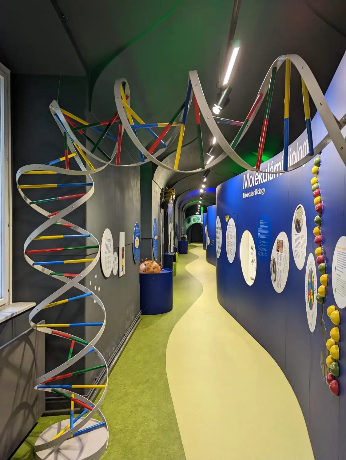 メンデル博物館周辺のホテル