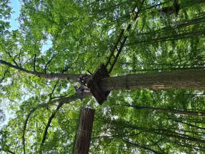 ACCRODER seul accrobranche au bord du lac